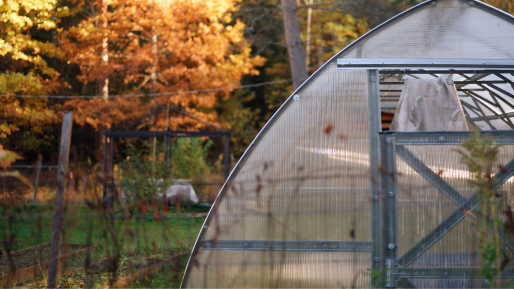 How to prepare a greenhouse for winter