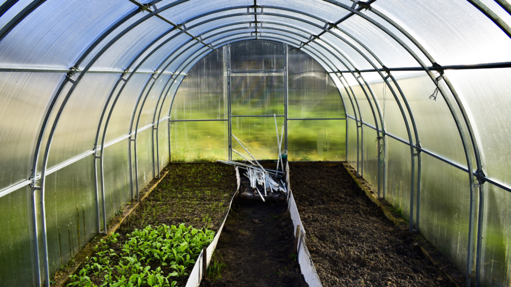How to prepare a greenhouse for winter