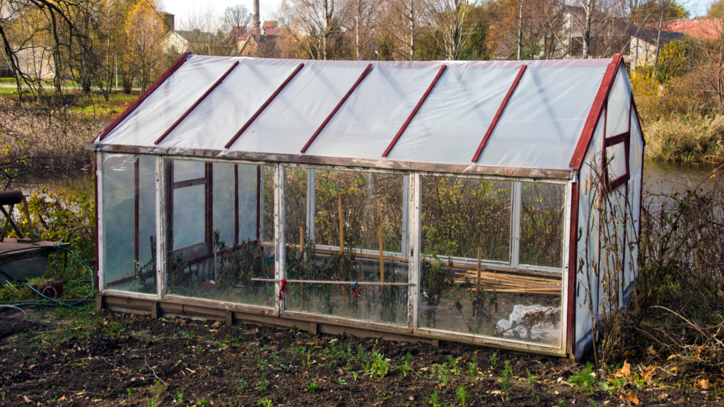 How to prepare a greenhouse for winter