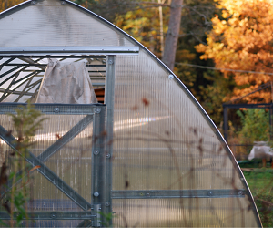 Як підготувати теплицю до зими