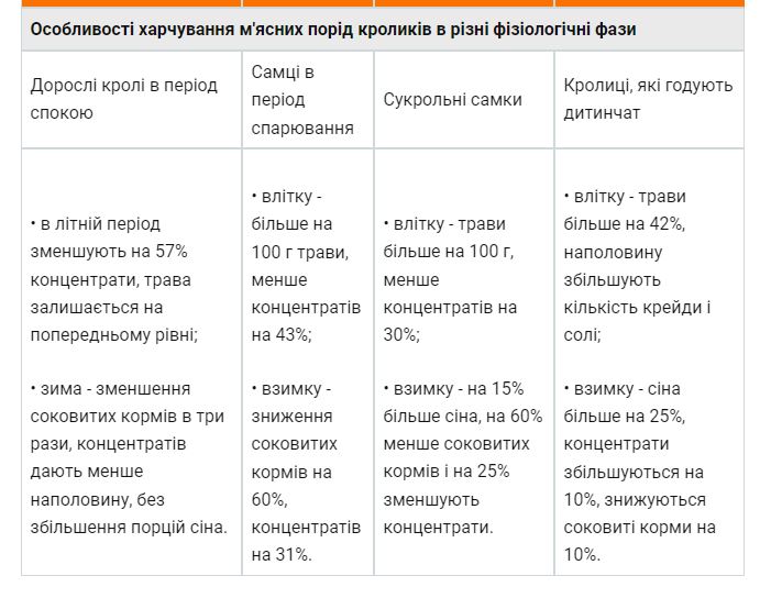 кролики новозеландської породи