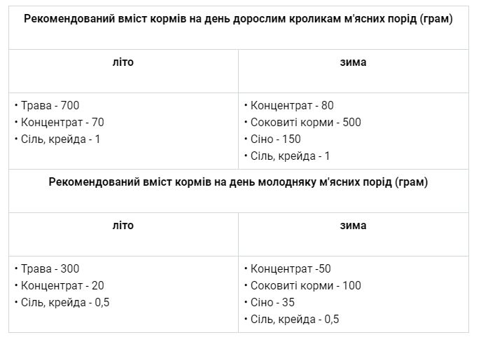 кролики новозеландської породи