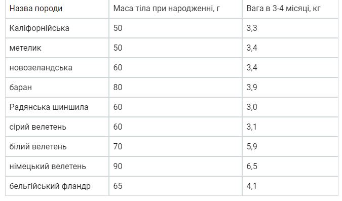 вага кроликів за породами та віком