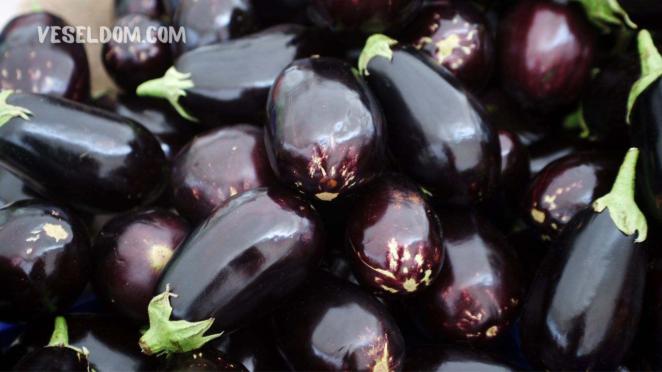 How to sow eggplants for seedlings