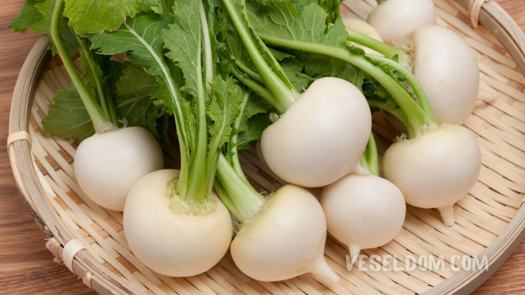 What can be planted in the garden in May