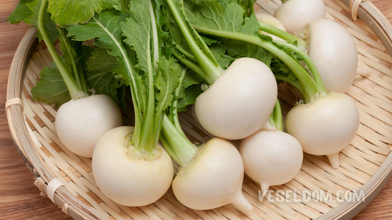 What can be planted in the garden in May