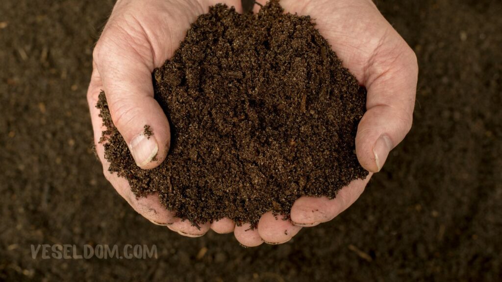 how to make compost