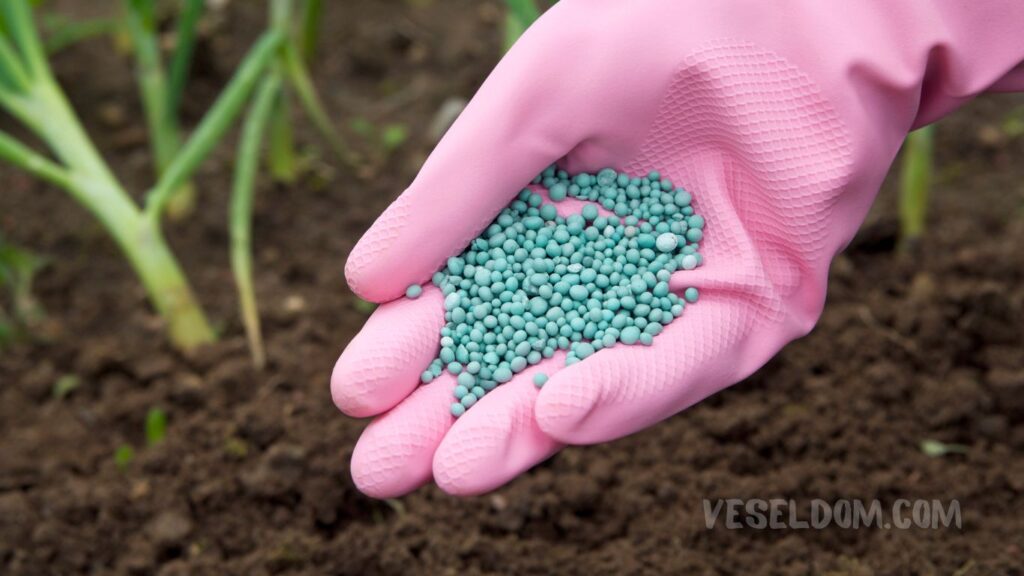 spring fertilization