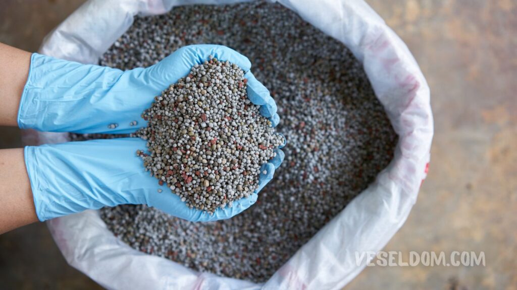 spring fertilization