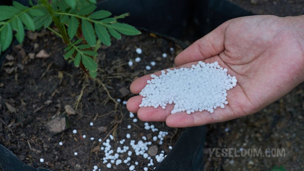 complex fertilizers for the garden