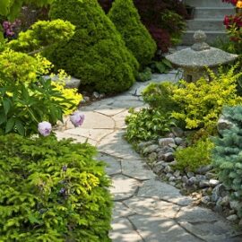 How to arrange a landscape design on one hundred