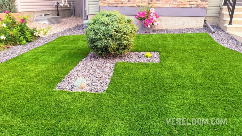 Types of lawn for landscape design