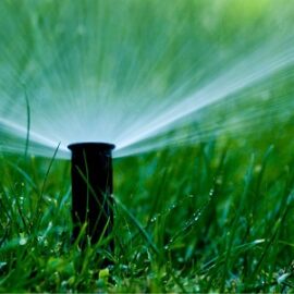 How to properly water the lawn